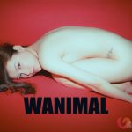 [合集]珍藏写真《WANIMAL王动》系列全套包含高清视频和套图，大小75.2G-ACG图书馆