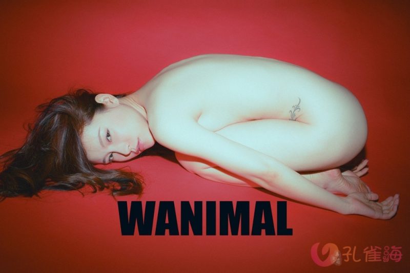 [合集]珍藏写真《WANIMAL王动》系列全套包含高清视频和套图，大小75.2G-cos姬